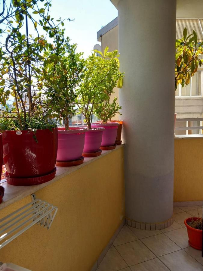 Holiday Center Apartment Шкодер Экстерьер фото
